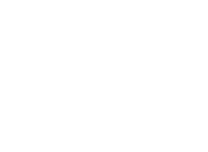 Dromo Cleaning Services logo